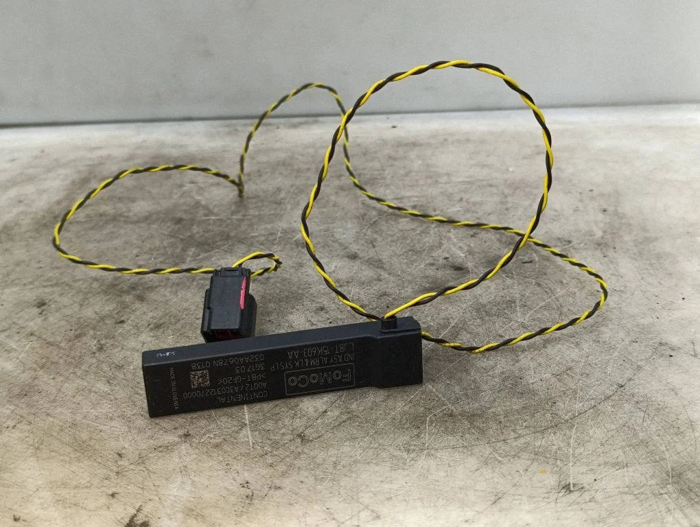 Keyless system antenna – Ford Mustang Mach-E (2020-)