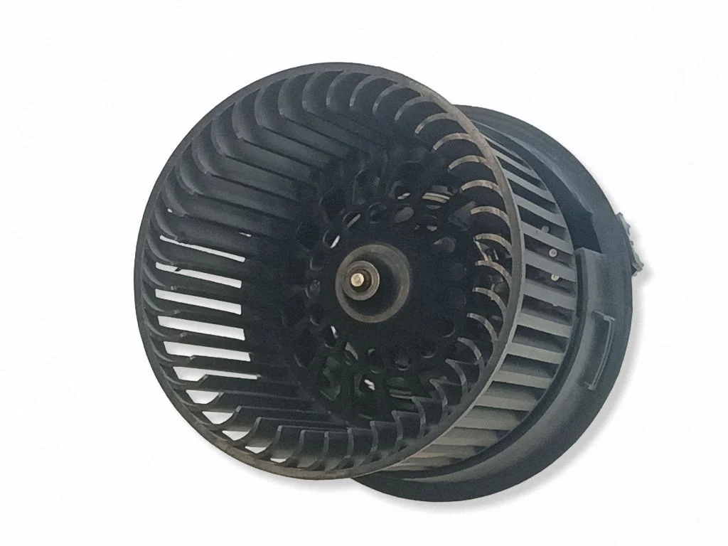 Heater fan/blower T1013140A