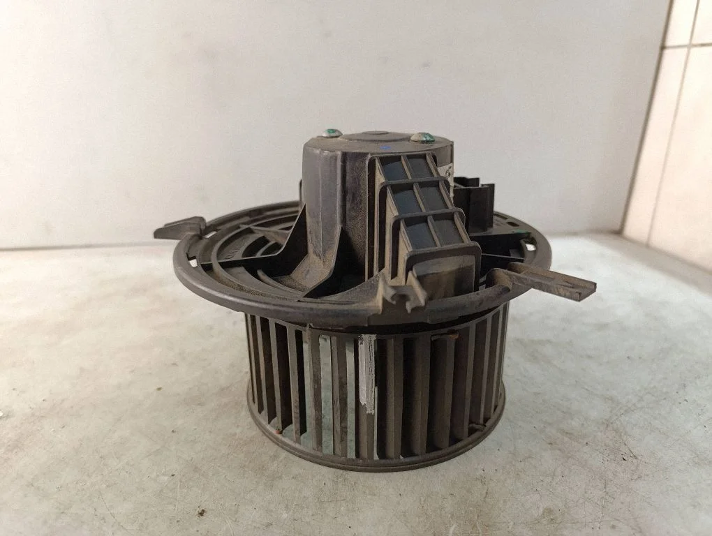 Krāsniņas ventilators/pūtējs T1000393G