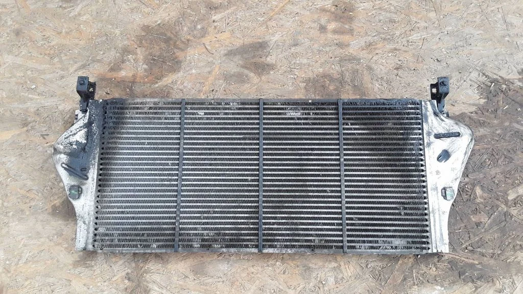 Vahejahuti radiaator 8200008761