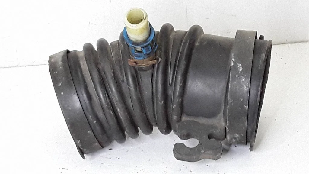 Õhu sisselaske voolik (-ud)/ toru (-d) L390132211
