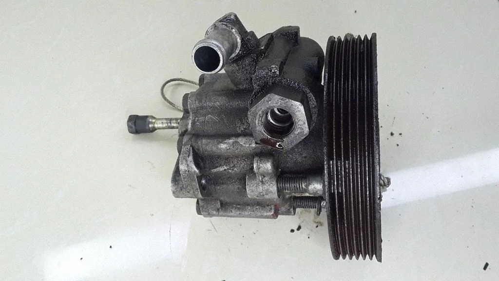Roolivõimendi pump 9633817580