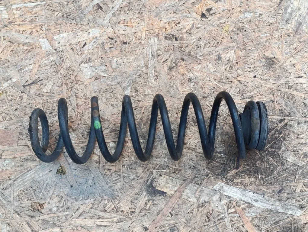 Rear coil spring