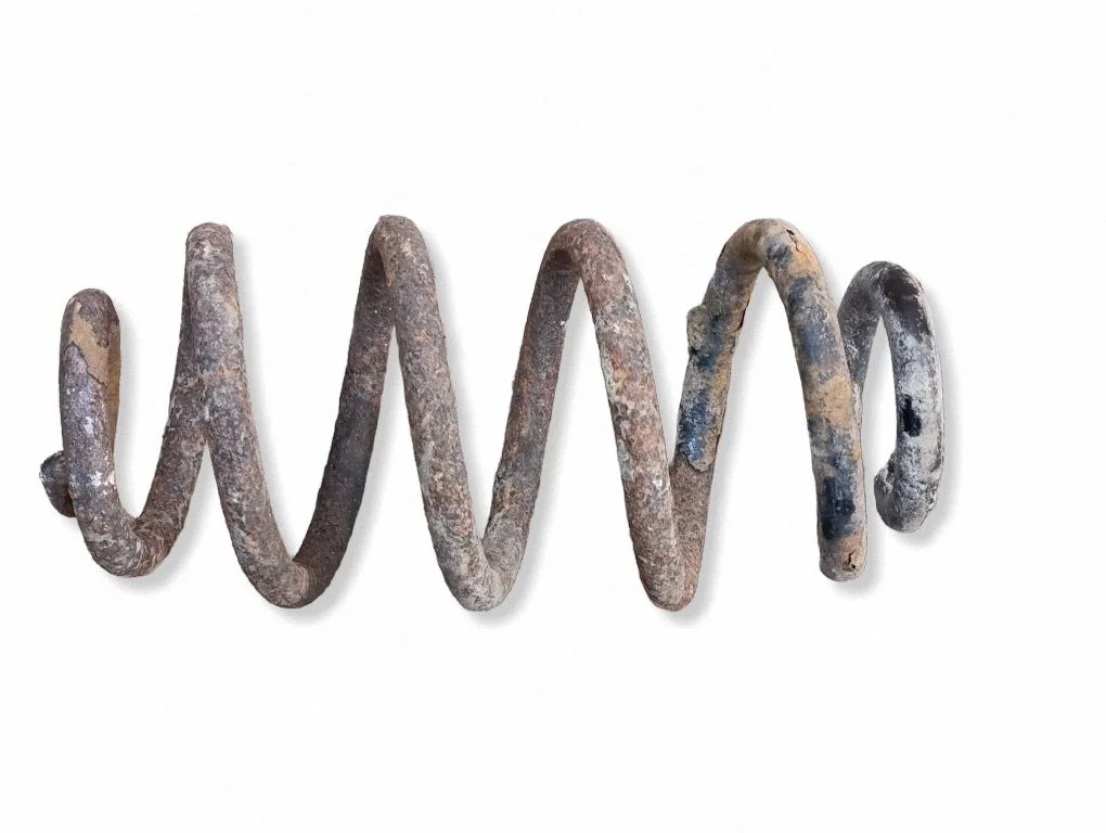 Rear coil spring