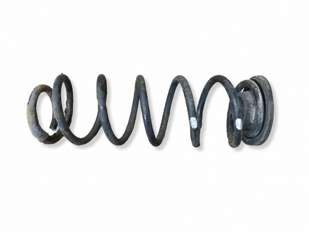 Rear coil spring