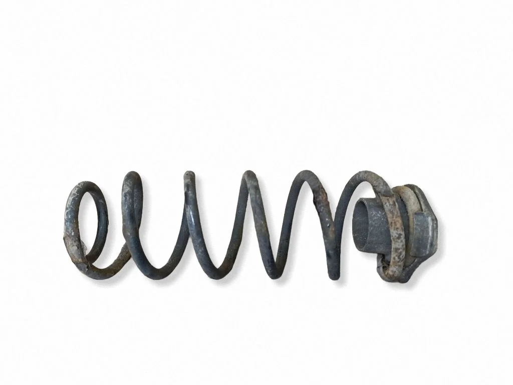 Rear coil spring