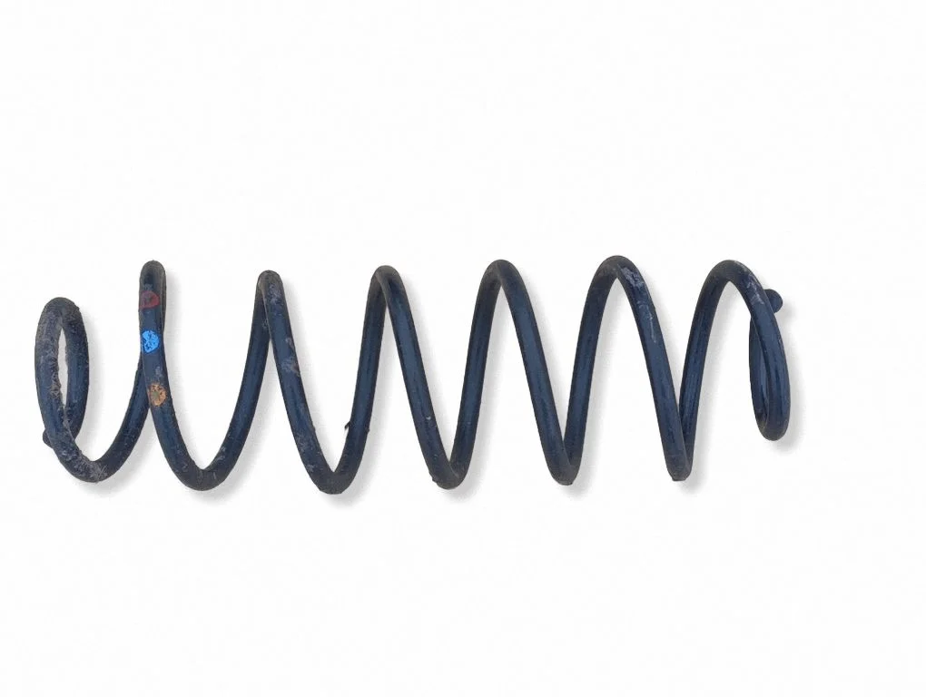 Rear coil spring