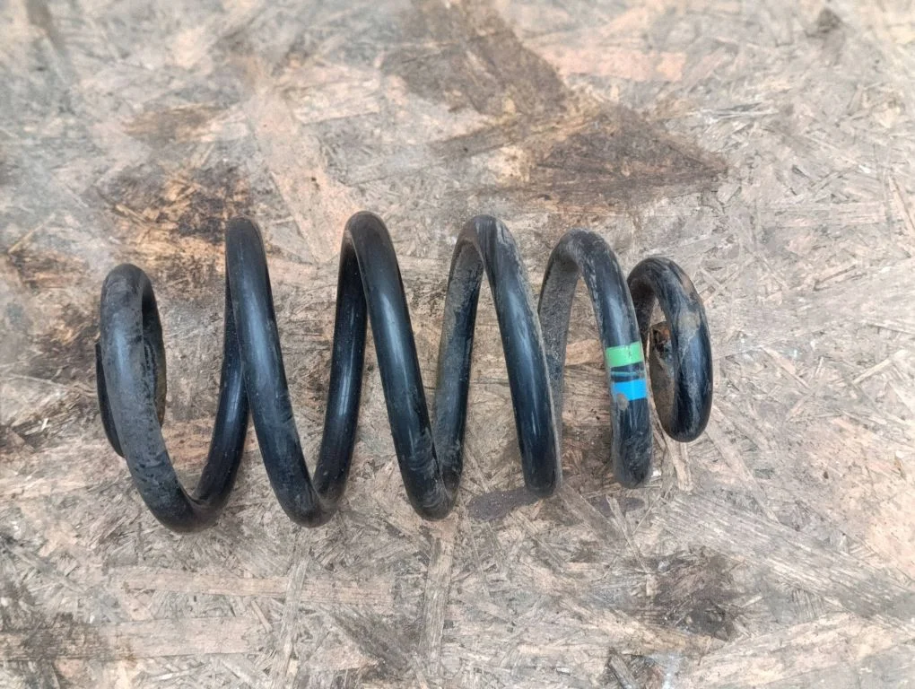 Rear coil spring
