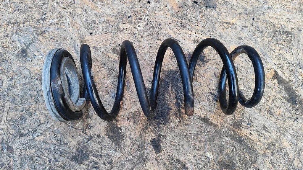 Rear coil spring