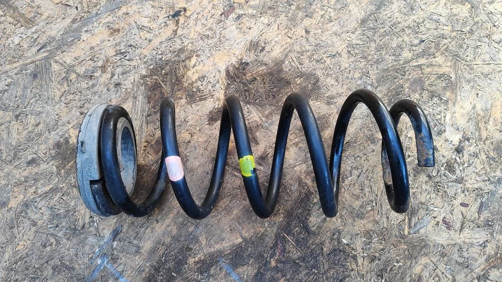 Rear coil spring