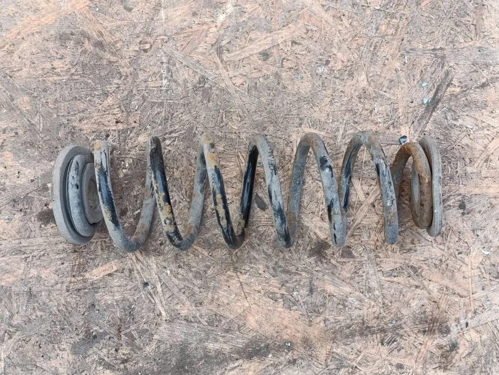 Rear coil spring