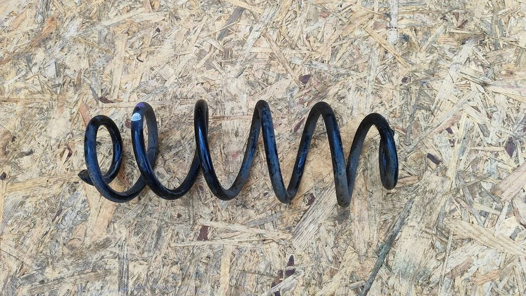 Rear coil spring