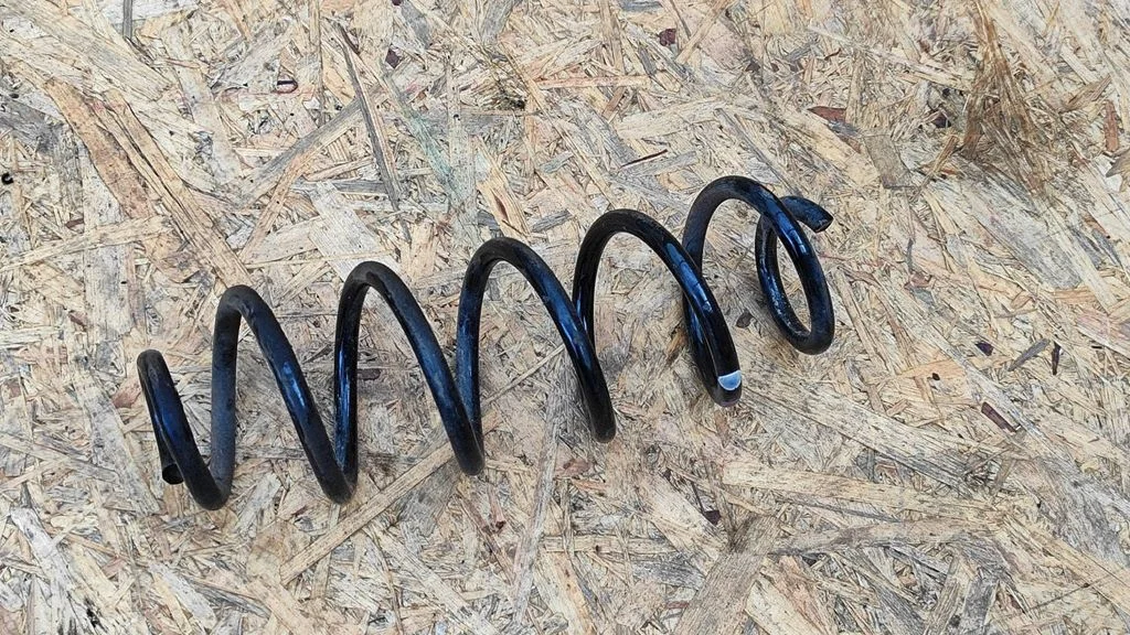 Rear coil spring