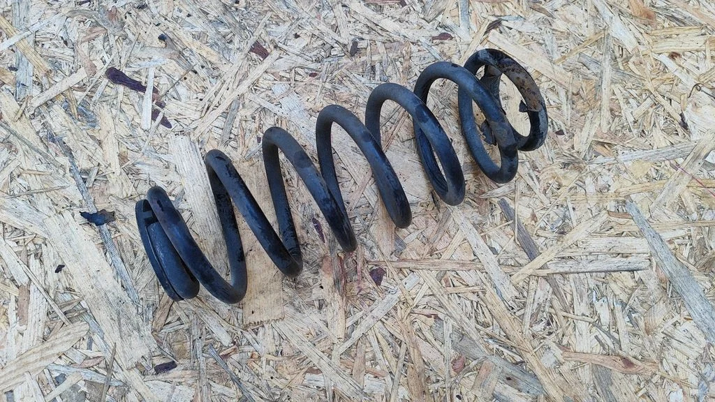Rear coil spring