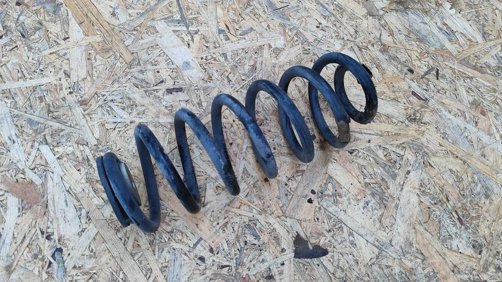 Rear coil spring