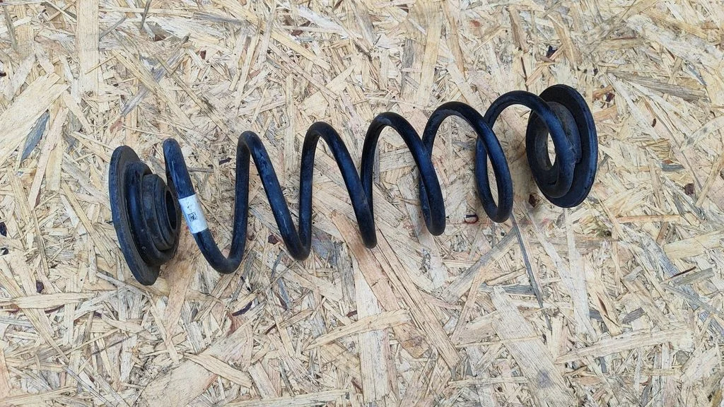 Rear coil spring
