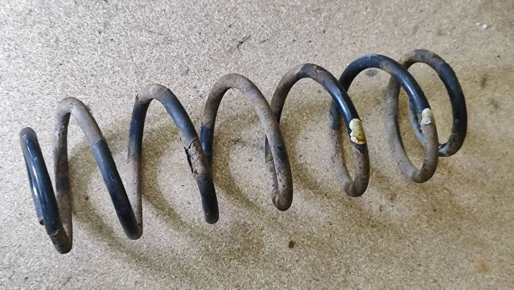 Rear coil spring