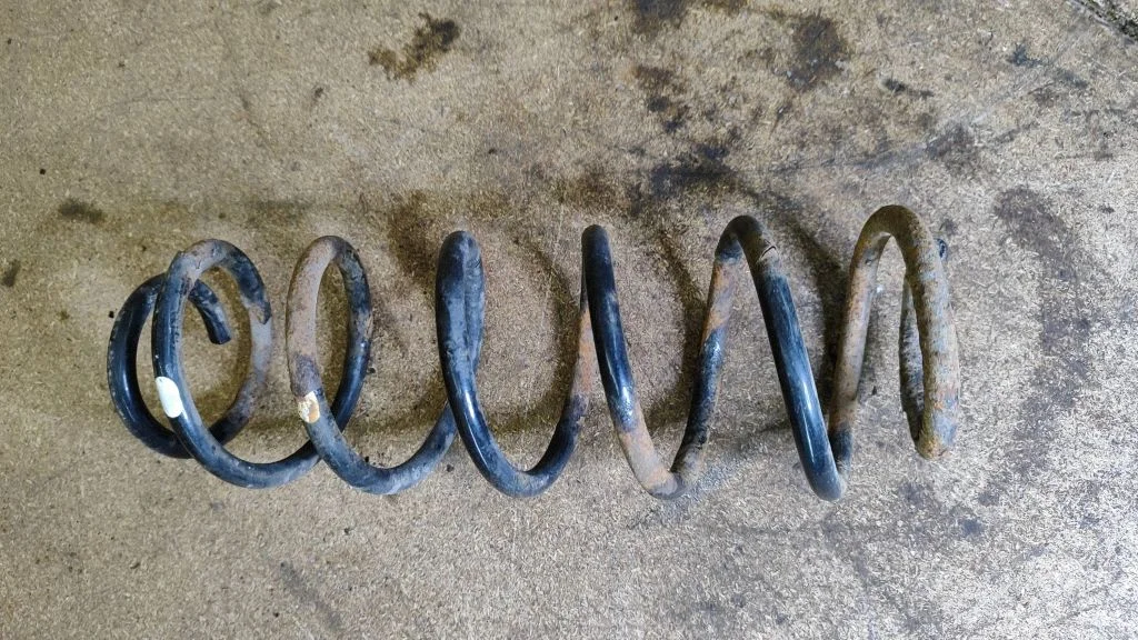 Rear coil spring