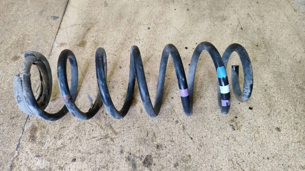 Rear coil spring