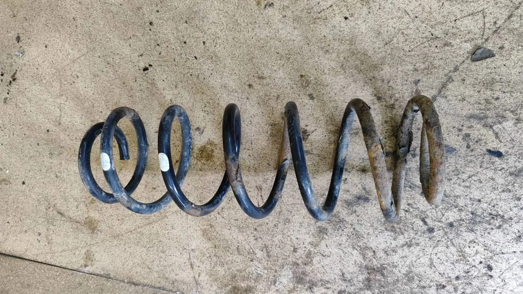 Rear coil spring