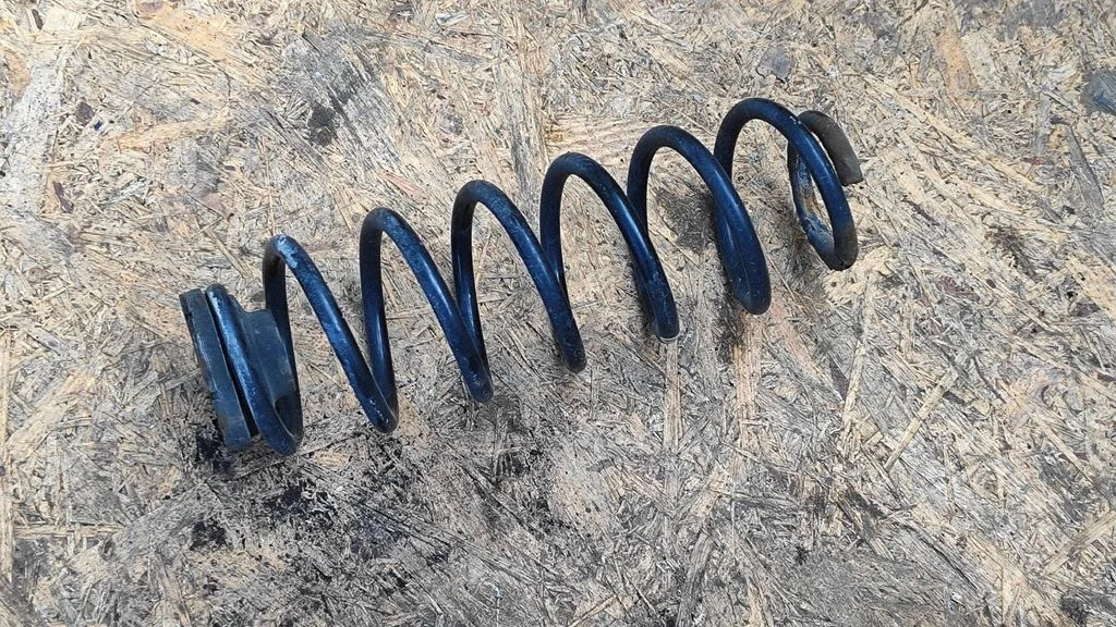 Rear coil spring