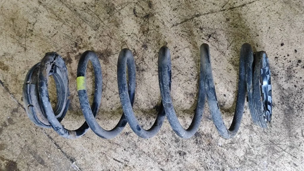 Rear coil spring