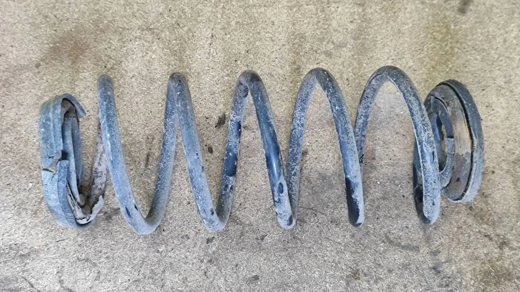 Rear coil spring