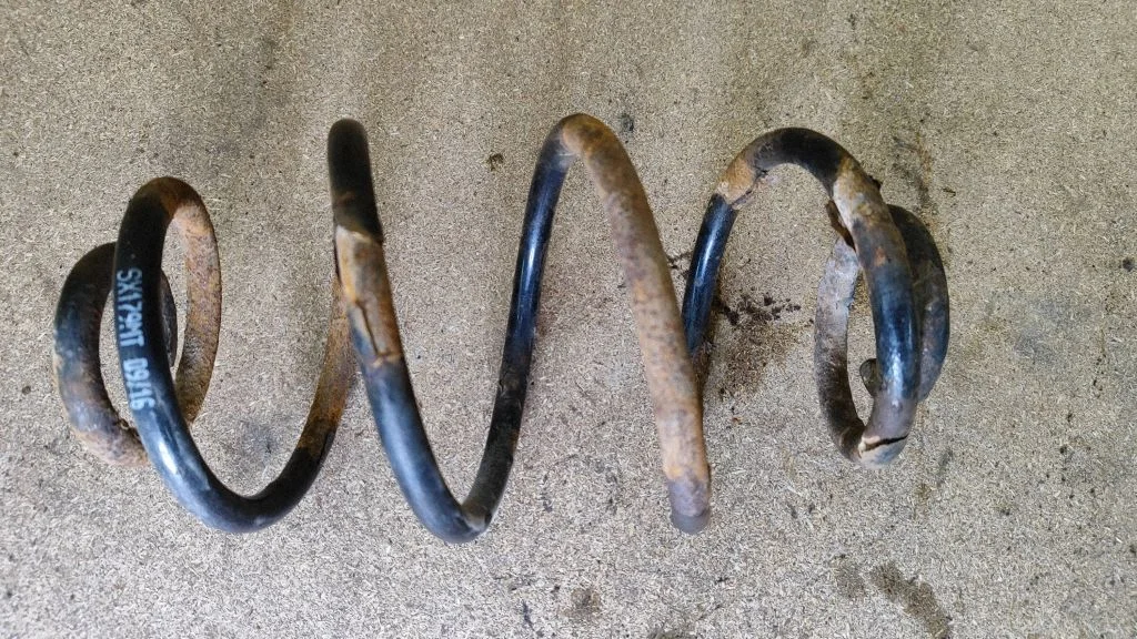 Rear coil spring