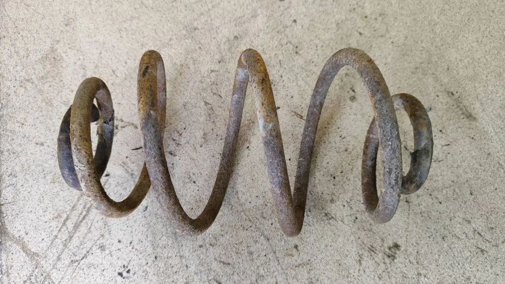 Rear coil spring