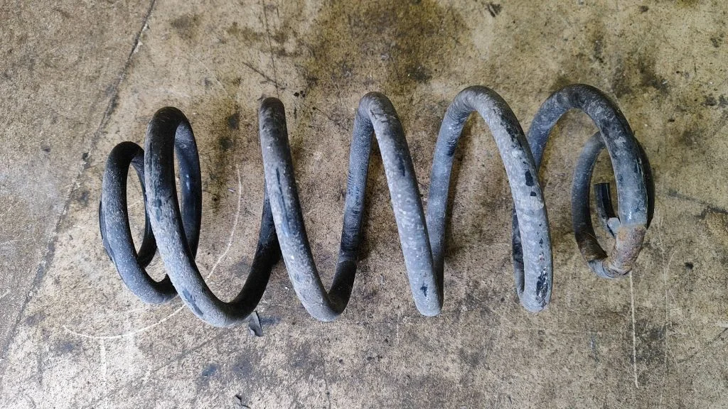 Rear coil spring