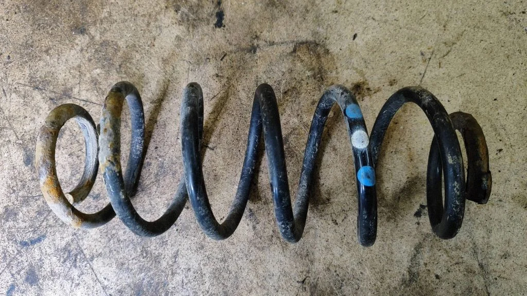 Rear coil spring