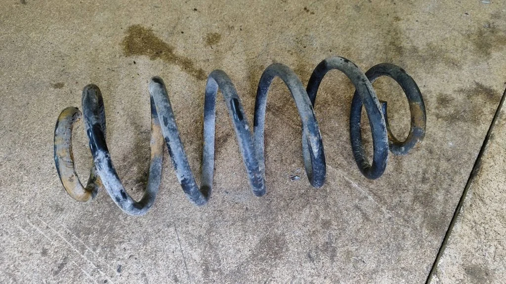 Rear coil spring