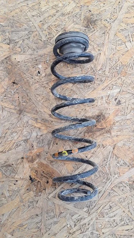 Rear coil spring