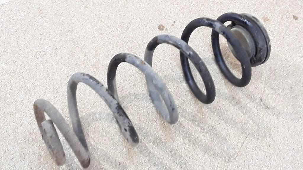Rear coil spring