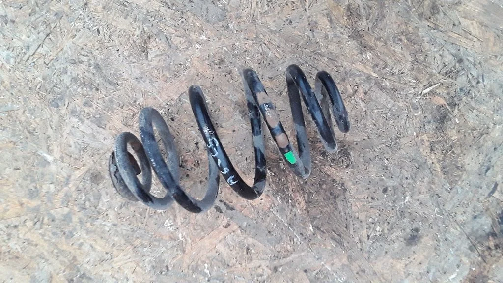 Rear coil spring