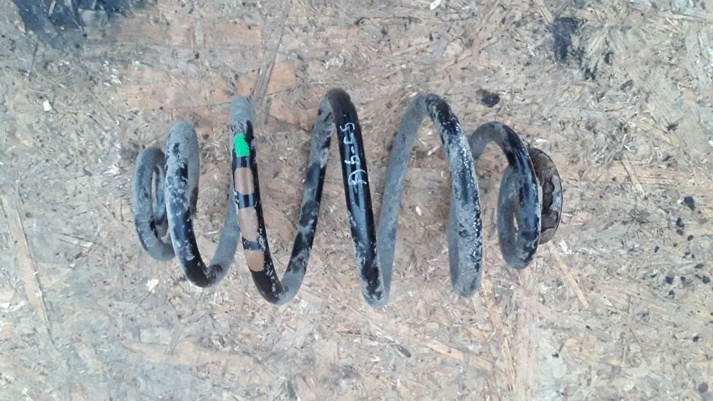 Rear coil spring