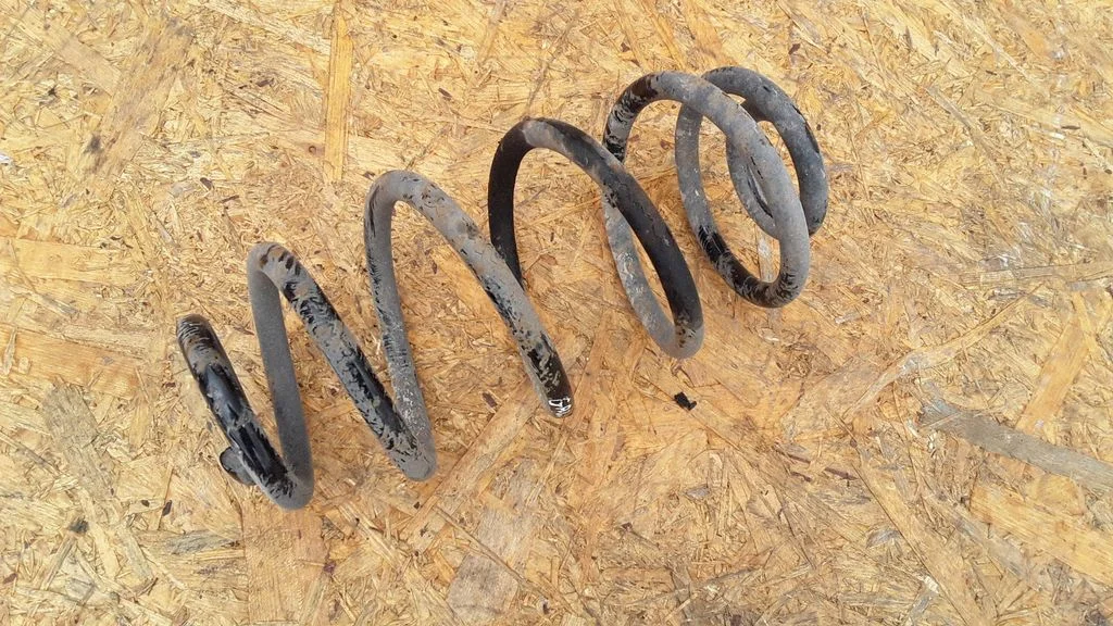 Rear coil spring