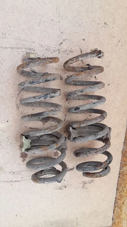 Rear coil spring