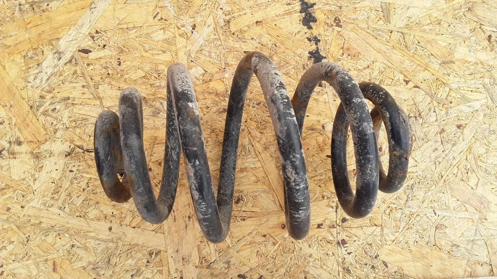Rear coil spring