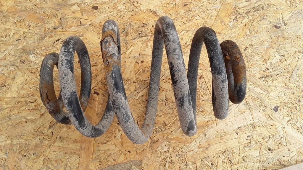 Rear coil spring