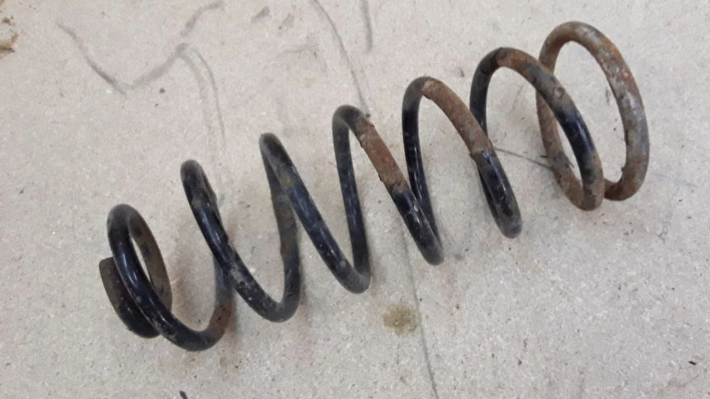 Rear coil spring
