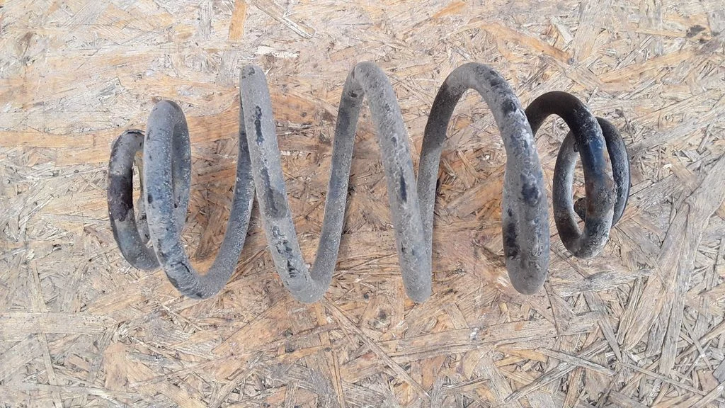 Rear coil spring