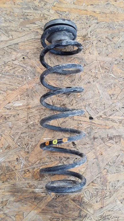 Rear coil spring