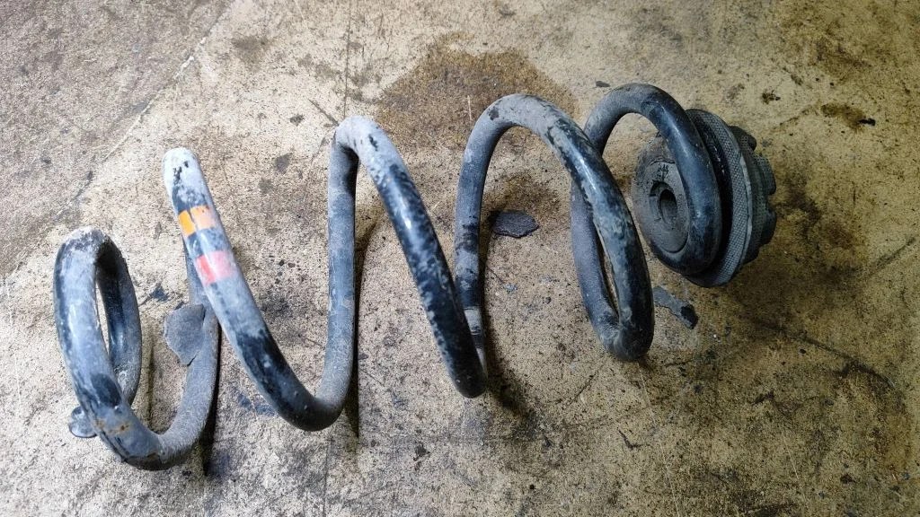 Rear coil spring