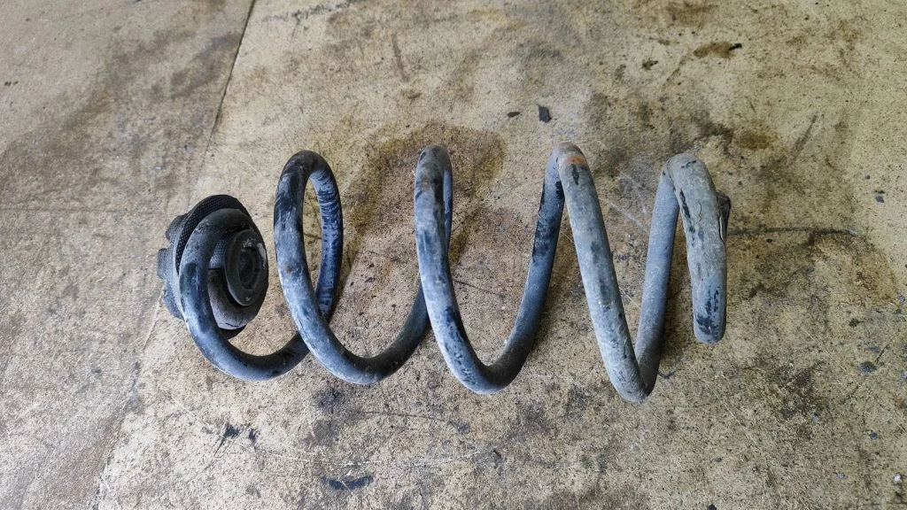 Rear coil spring