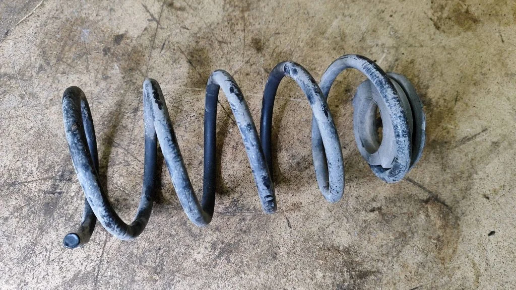 Rear coil spring