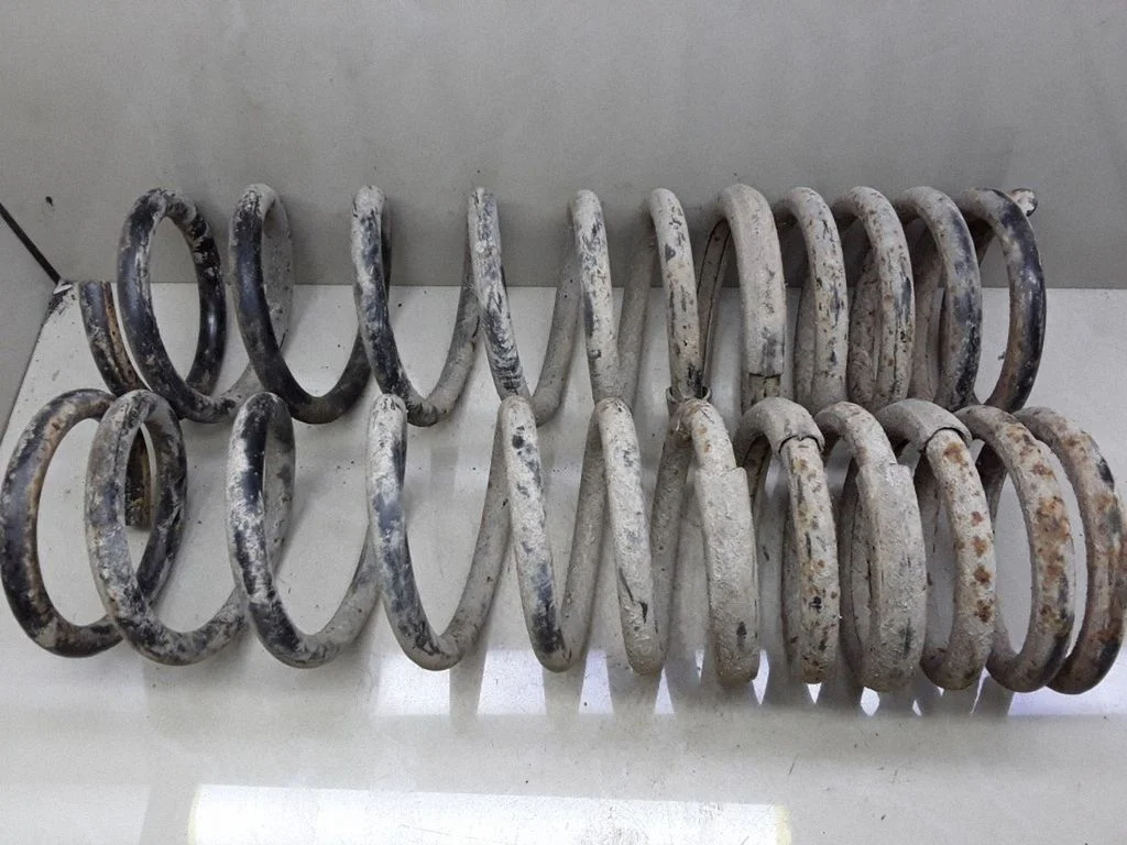 Rear coil spring