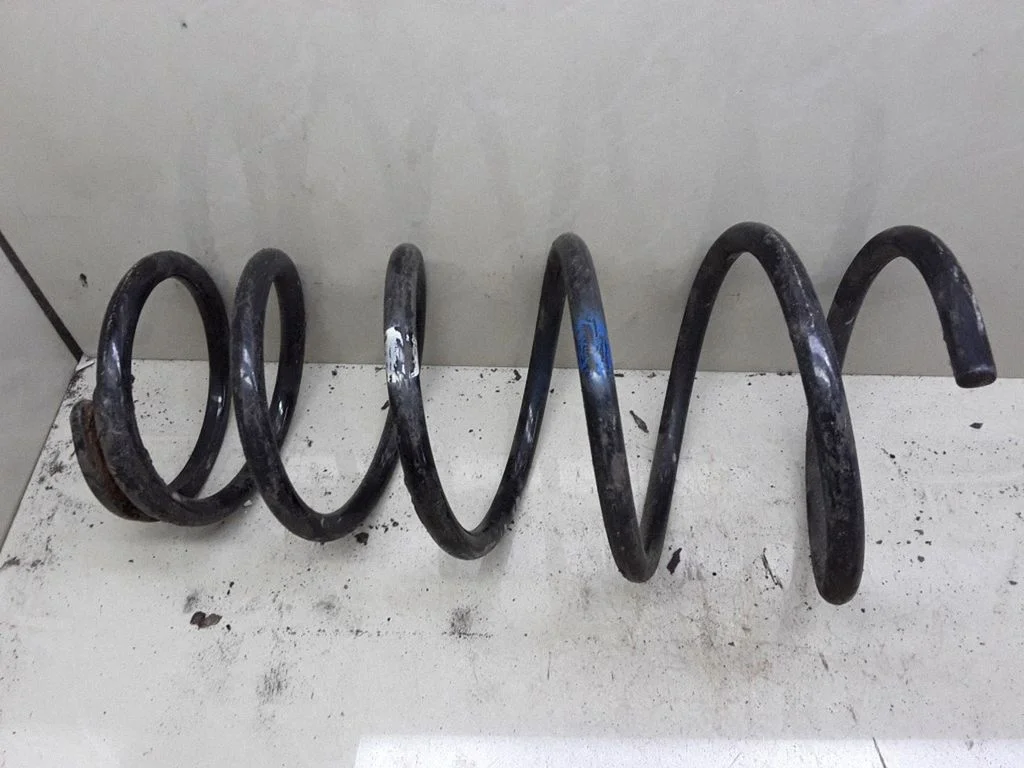 Rear coil spring