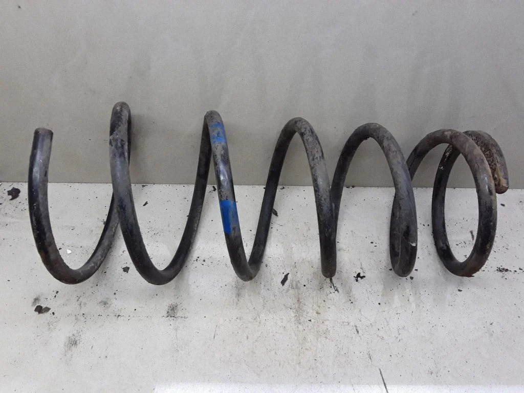 Rear coil spring
