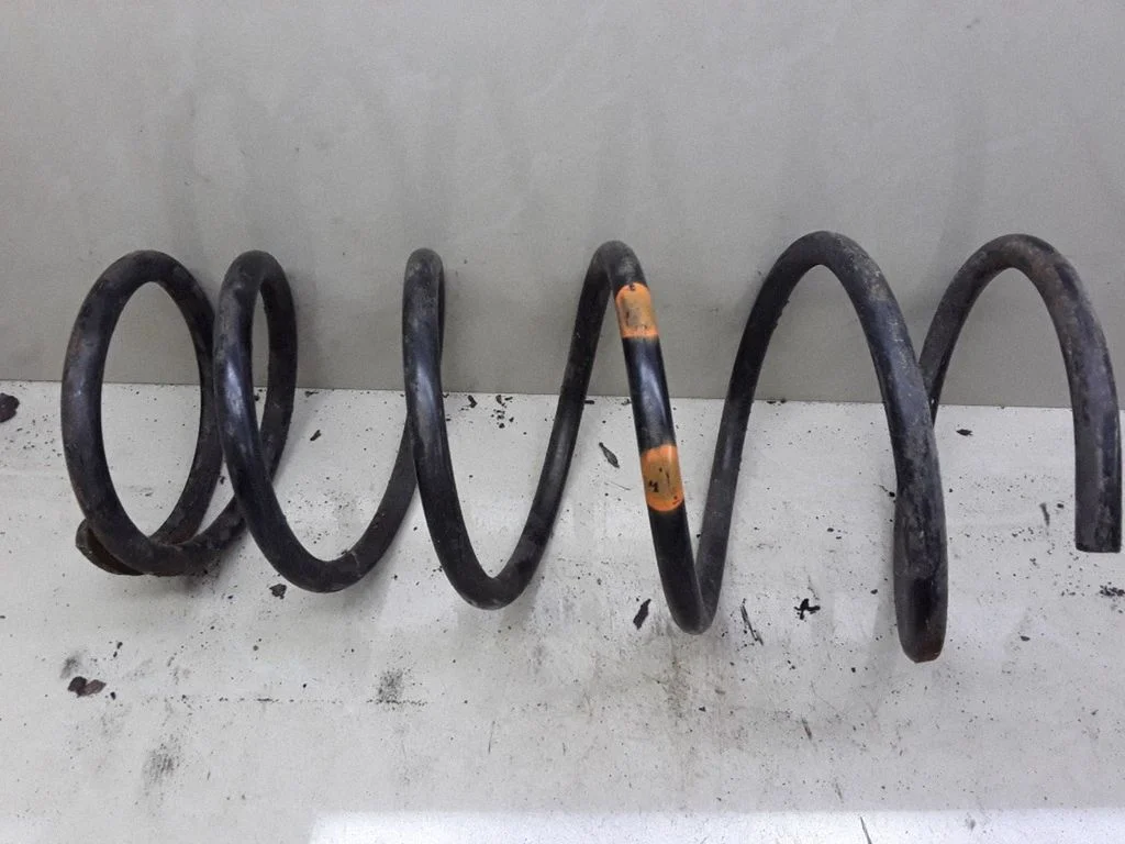 Rear coil spring